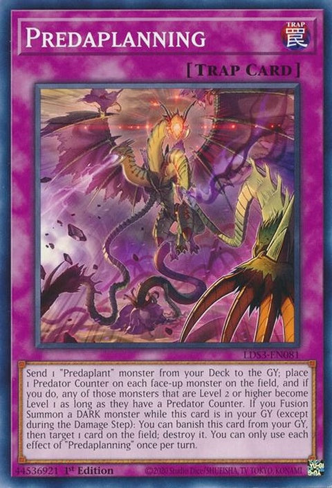 lds3-en081-predaplanning