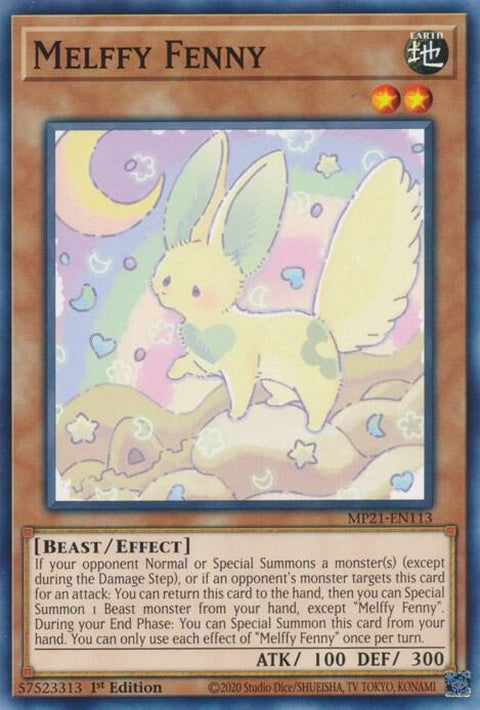 mp21-en113-melffyfenny