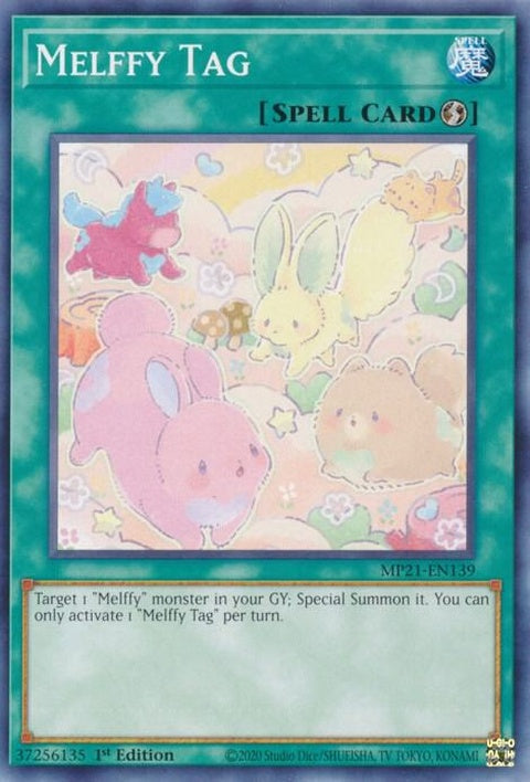 mp21-en139-melffytag