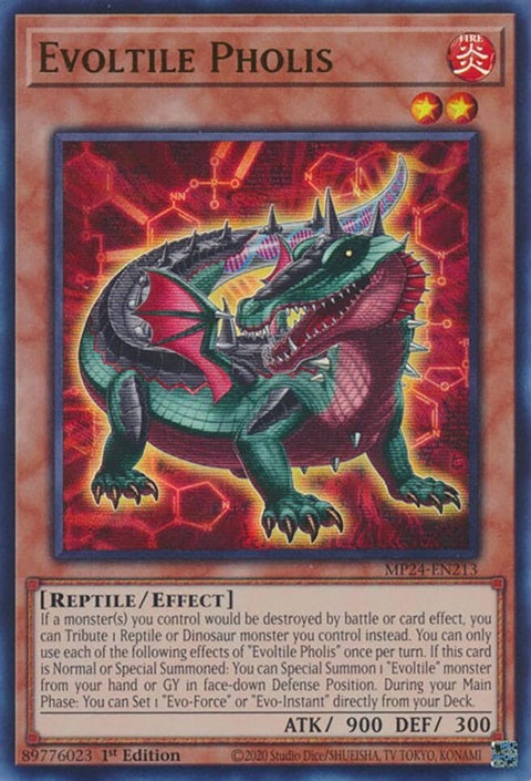 mp24-en213-evoltilepholis