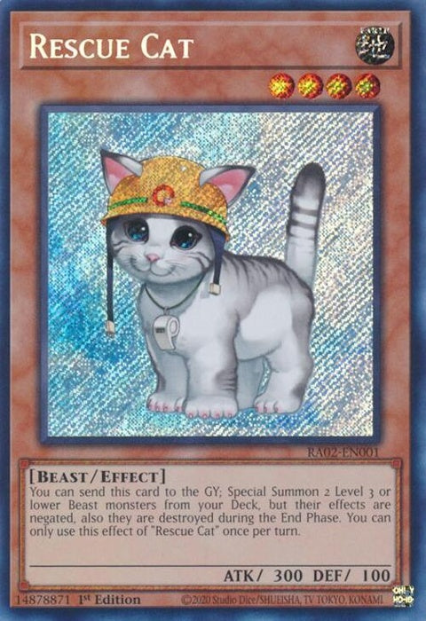 ra02-en001-rescuecatsecretrare