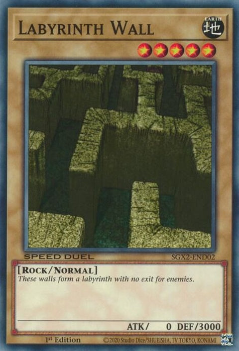 sgx2-end02-labyrinthwall
