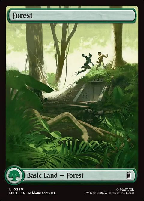 285-forest