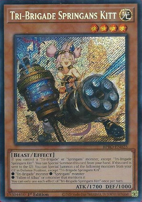 bpro-en025-tribrigadespringanskitt