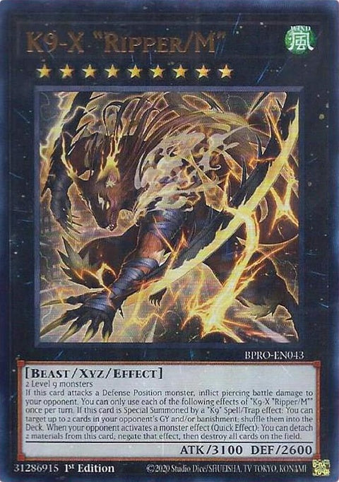 bpro-en043-k9xripperm