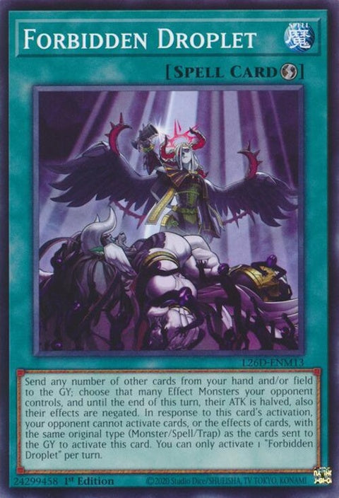 l26d-enm13-forbiddendroplet