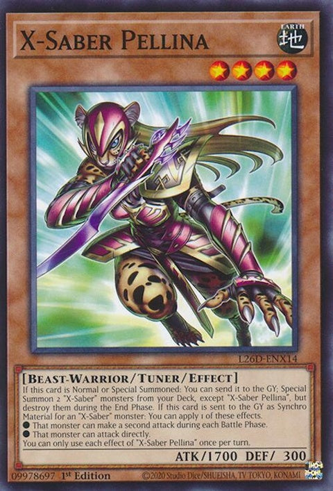 l26d-enx14-xsaberpellina