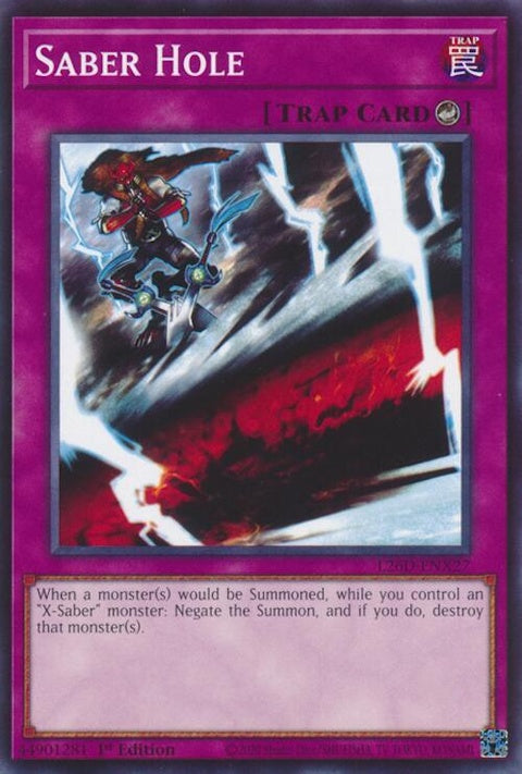 l26d-enx27-saberhole