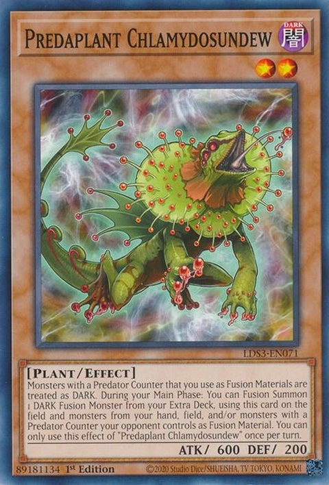 lds3-en071-predaplantchlamydosundew