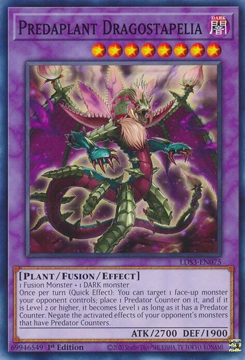 lds3-en075-predaplantdragostapelia