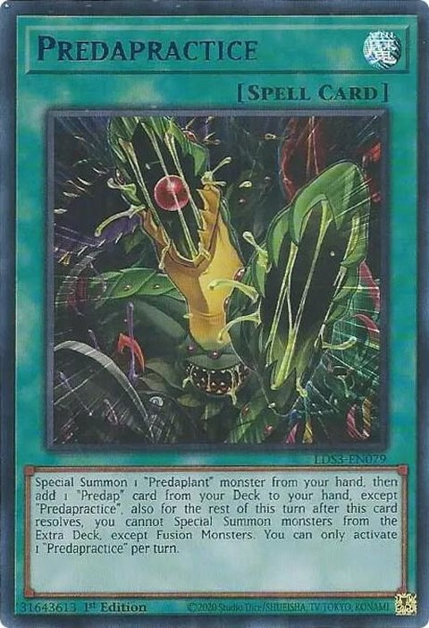 lds3-en079-predapracticeblue