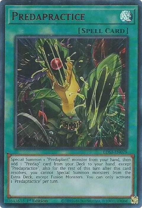 lds3-en079-predapracticered