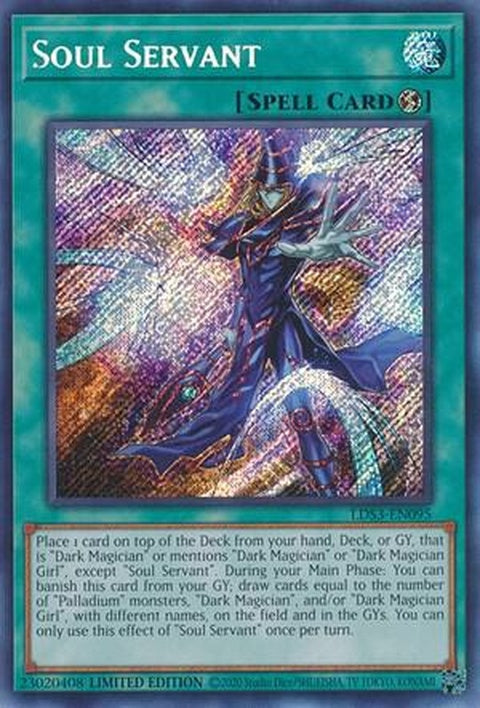 lds3-en095-soulservant