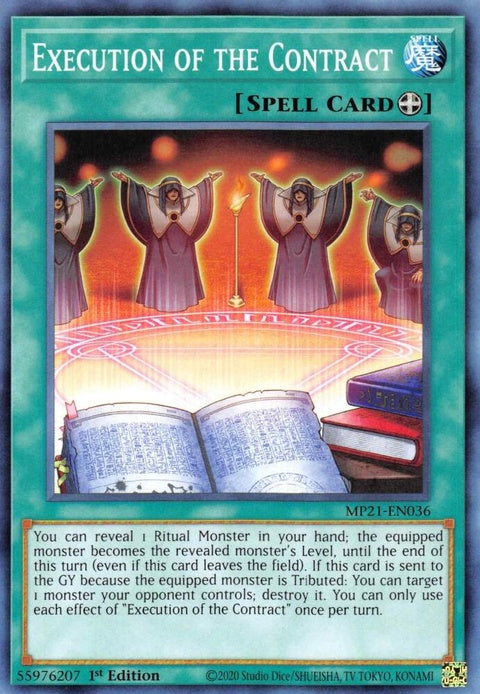 mp21-en036-executionofthecontract