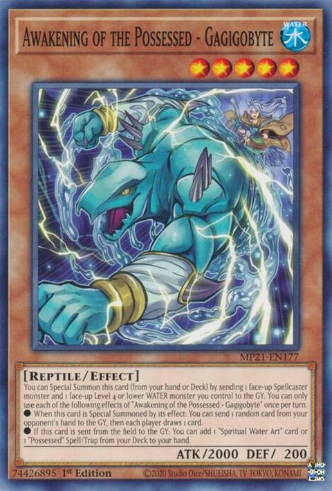 mp21-en177-awakeningofthepossessedgagigobyte