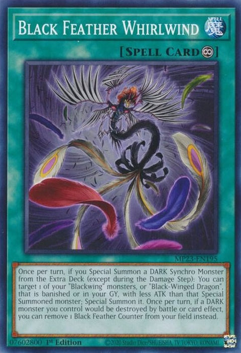 mp23-en195-blackfeatherwhirlwind