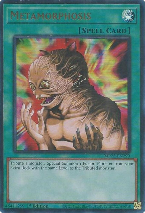 mp25-en299-metamorphosis