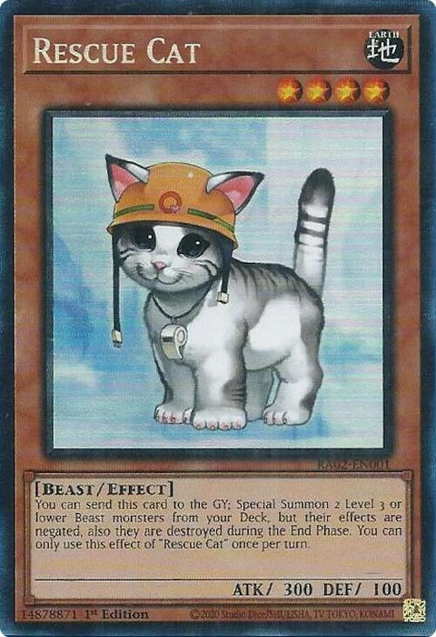 ra02-en001-rescuecatpcr