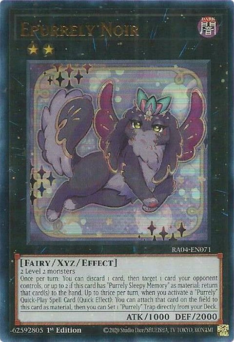 ra04-en071-epurrelynoirur