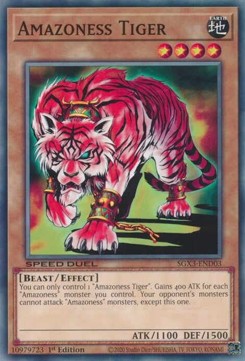 sgx3-end03-amazonesstiger