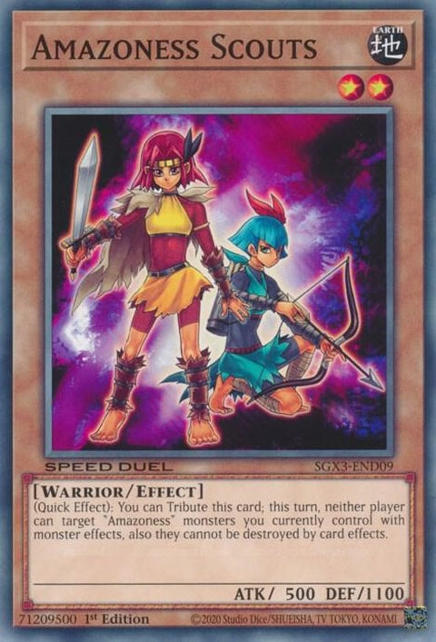 sgx3-end09-amazonessscouts