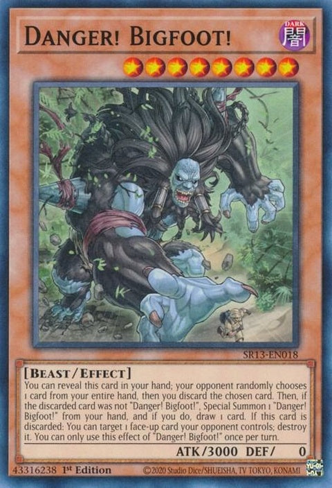 sr13-en018-dangerbigfoot
