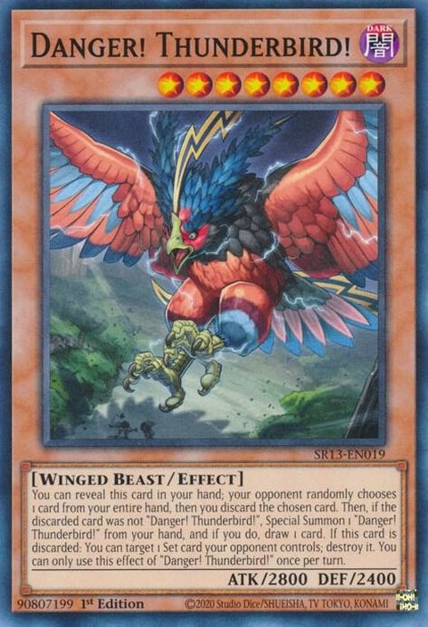 sr13-en019-dangerthunderbird