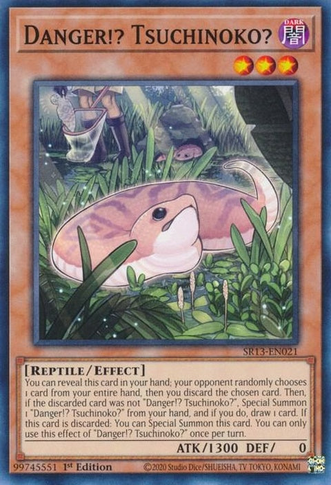 sr13-en021-dangertsuchinoko