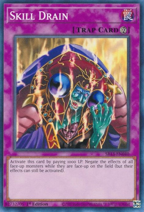 sr13-en040-skilldrain
