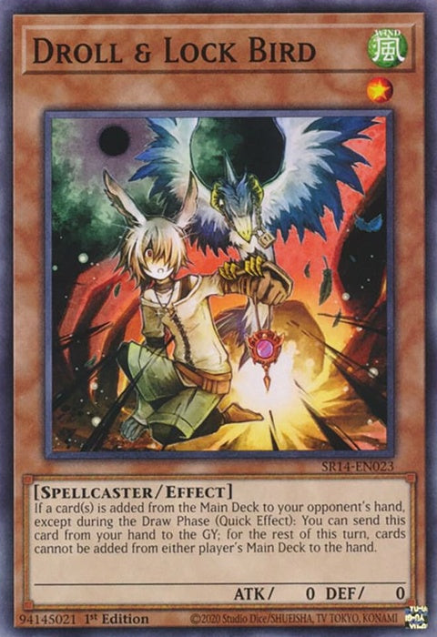 sr14-en023-drolllockbird