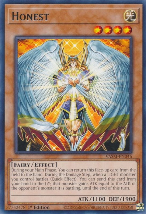 vasm-en046-honest